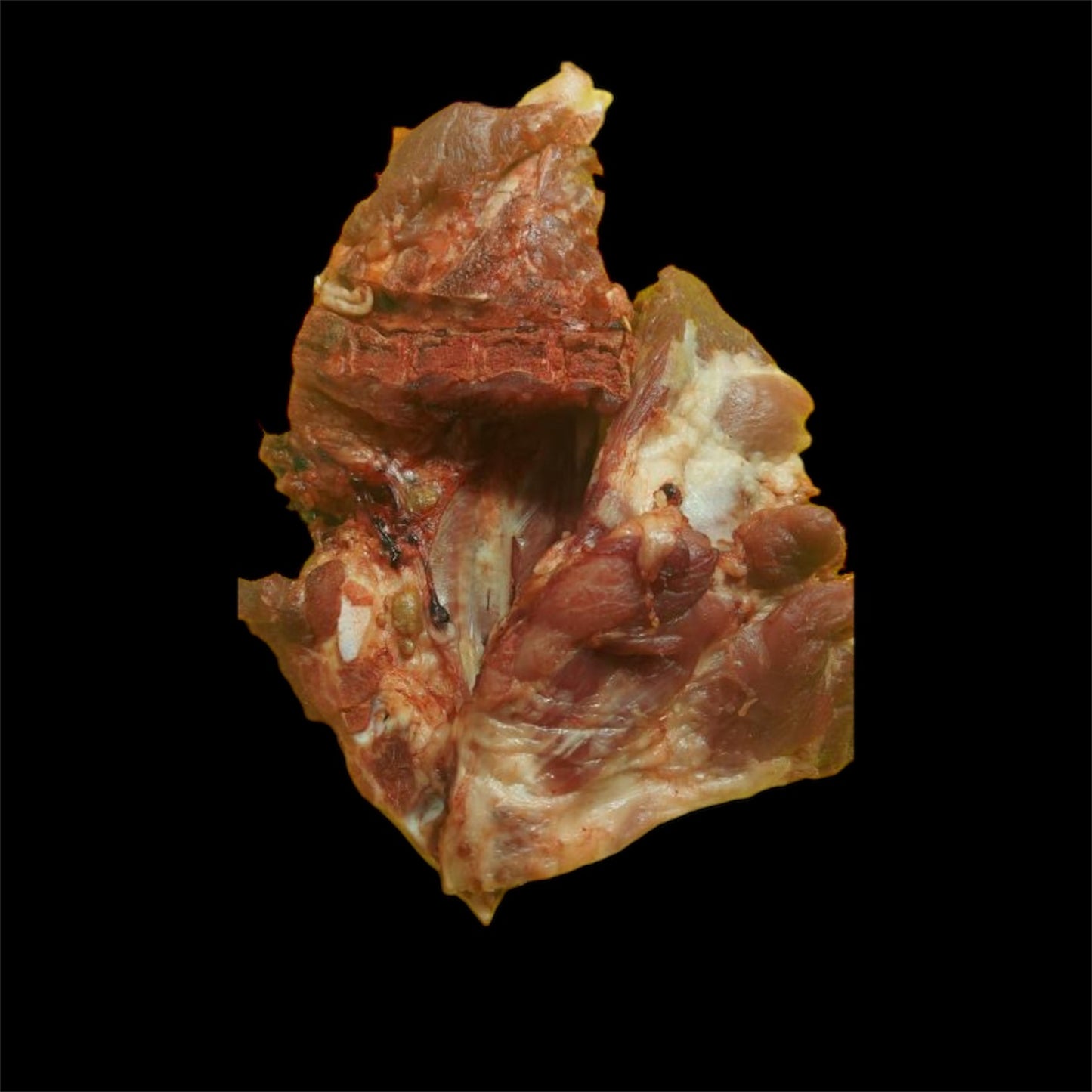 Pork Back Ribs/Kilo (1 kl-1.5kls)