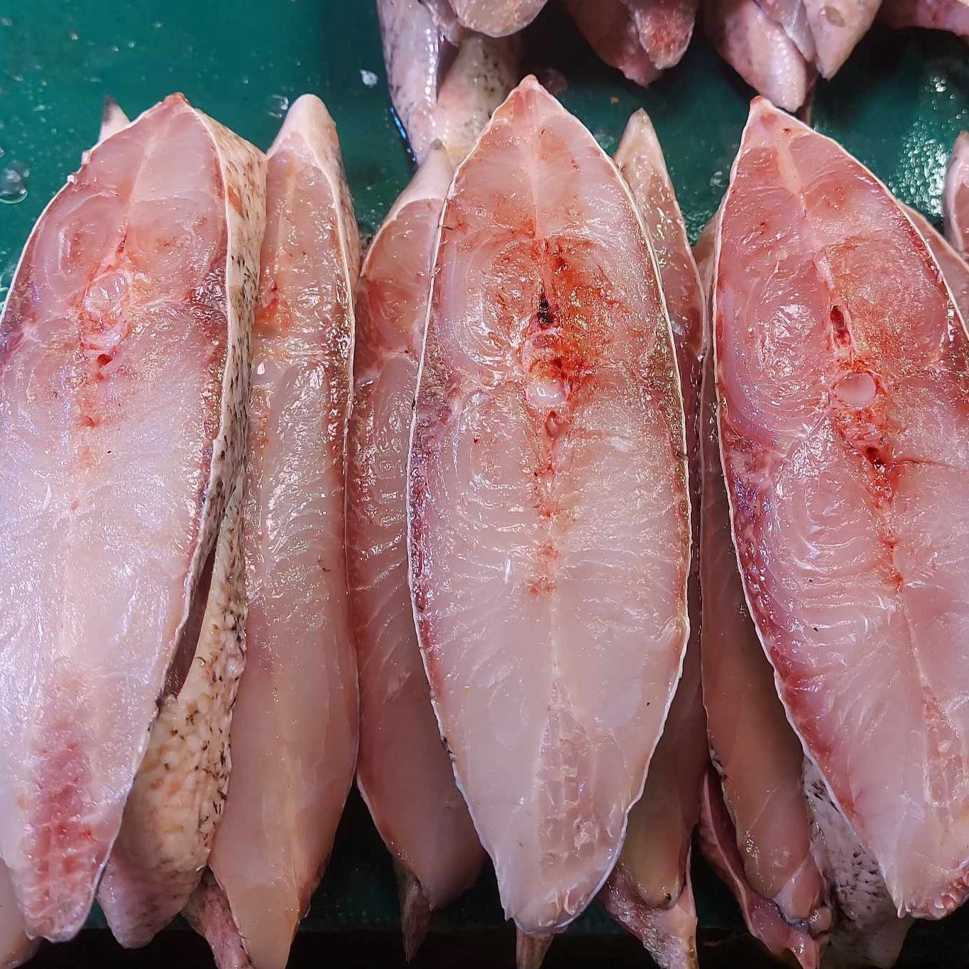 Freshly cut Maya Maya per Kilo