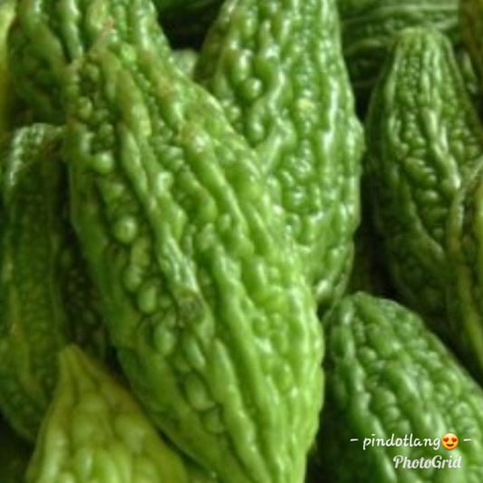 Native Ampalaya (order price/500 grams) - Farm2Metro