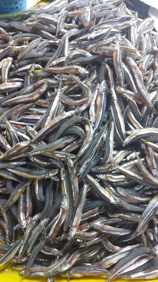 新鮮なディリス - 注文価格 / キロ