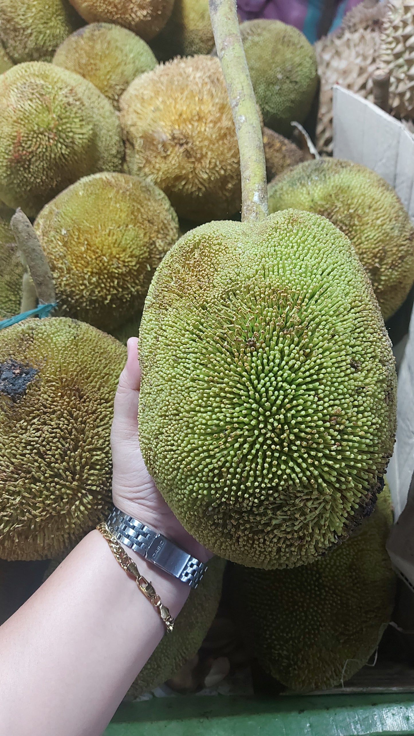 Fresh Organic Davao Marang Fruit - order price / kilo (Fruit weight between 2-3kls)