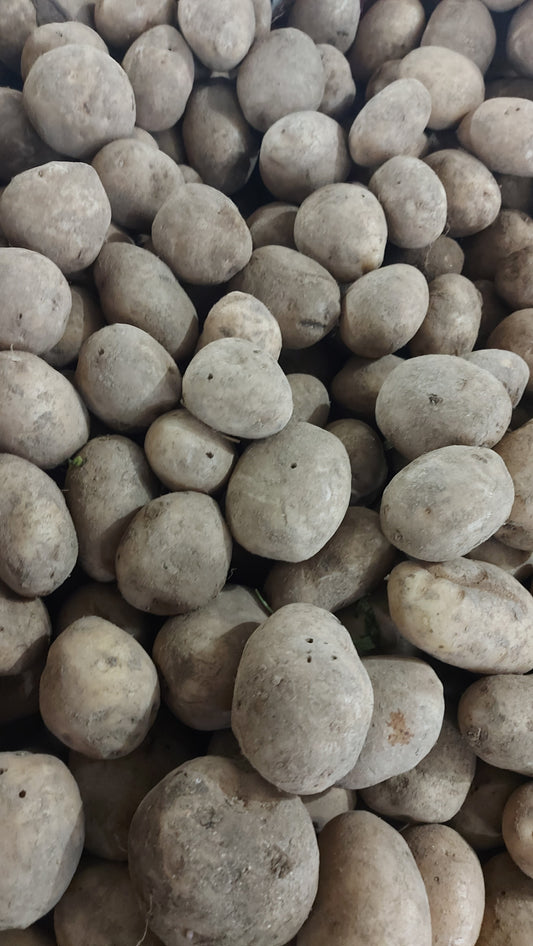 地元の有機ポテト | Patatas - 注文価格 / キロ