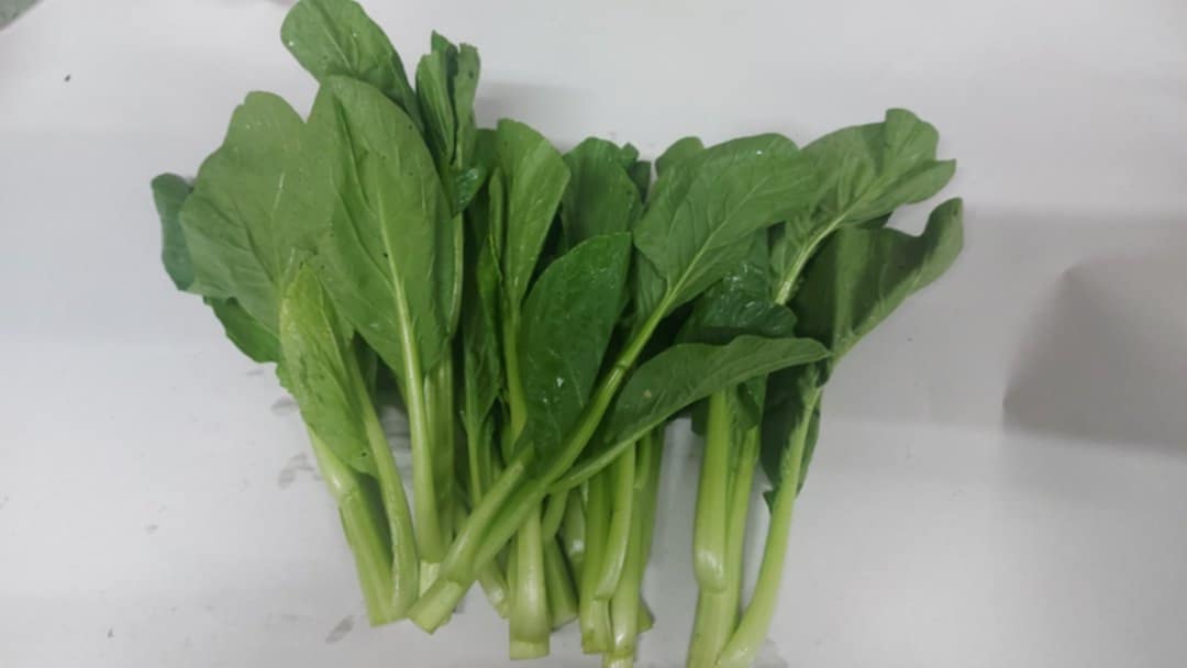 Fresh Organic Choysum | Chaysim - order price / kilo