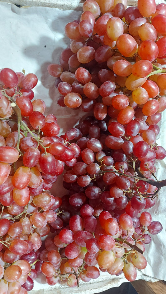 Crimson Sweet Seedless Red Grapes - order price / kilo