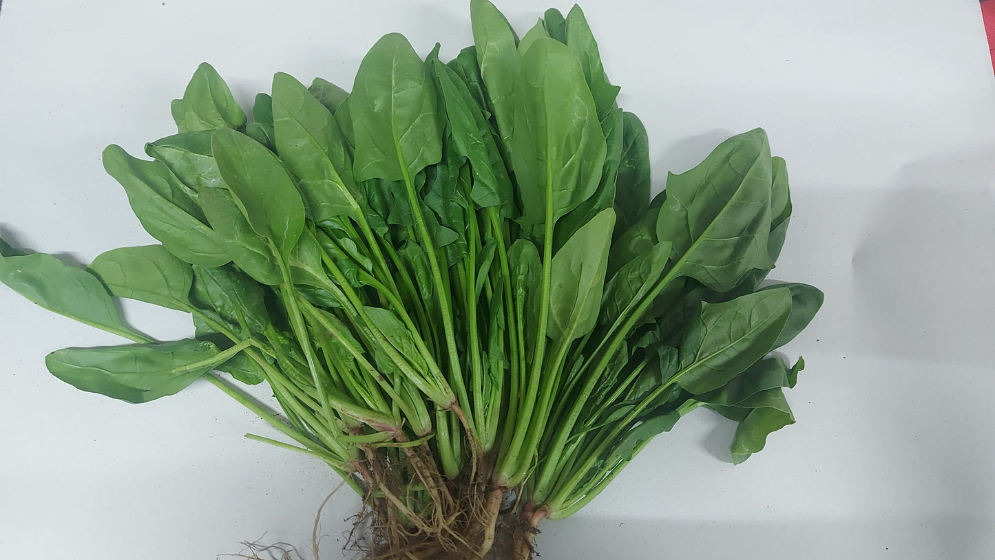 Fresh Organic Polonchay - order price / kilo