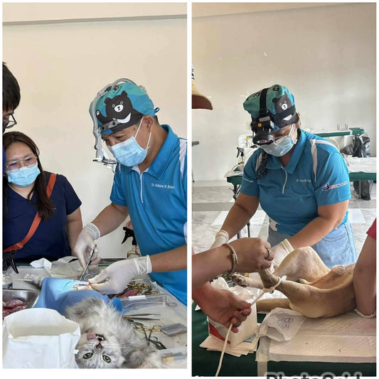 Sponsorship for "Kapon for a Stray" Program (Donation)