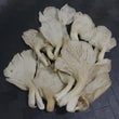 Local Organic Oyster Mushroom - order price / pack [90 grams]