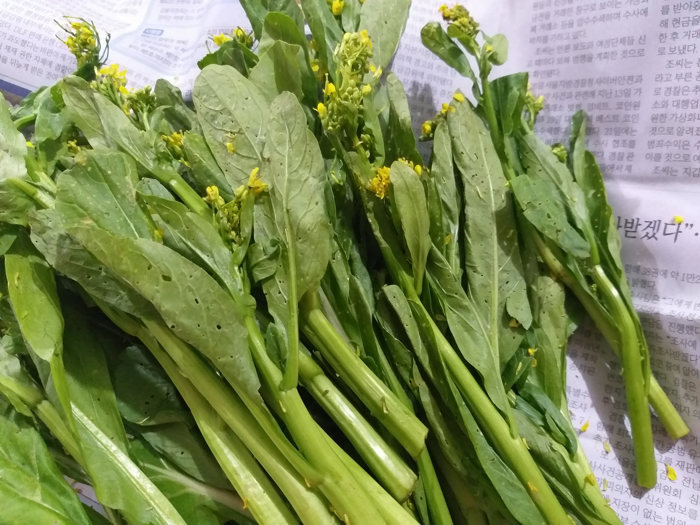 Fresh Organic Choysum| Chaysim - order price / 250 grams
