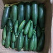 Fresh Local Organic Zucchini - order price / 500 grams