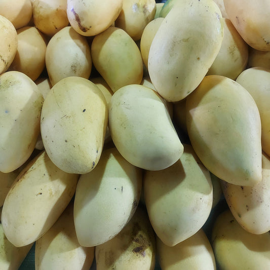 Fresh Pangasinan Ripe Mangoes Kinalabaw - order price / kilo