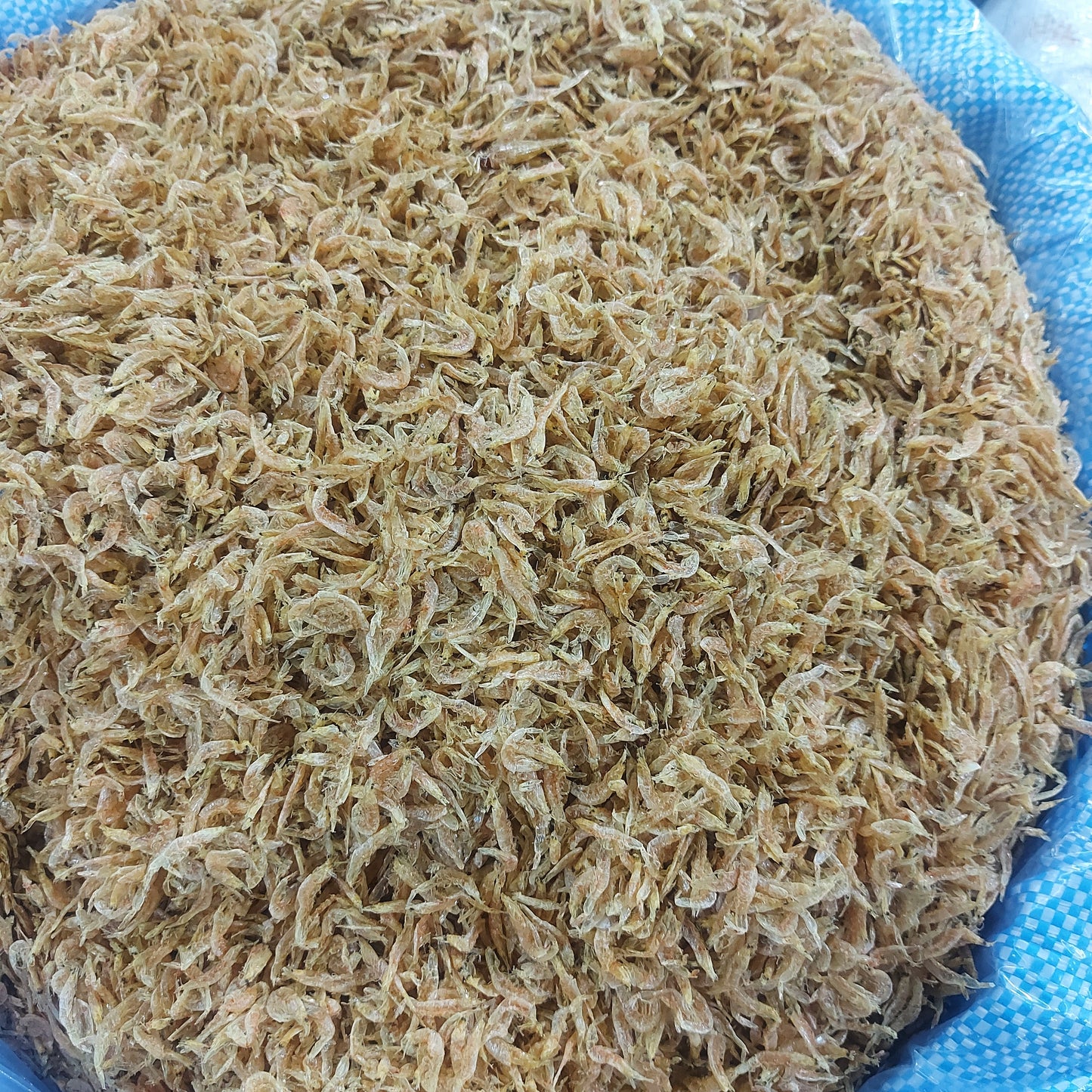 幹阿拉芒訂貨價每250克