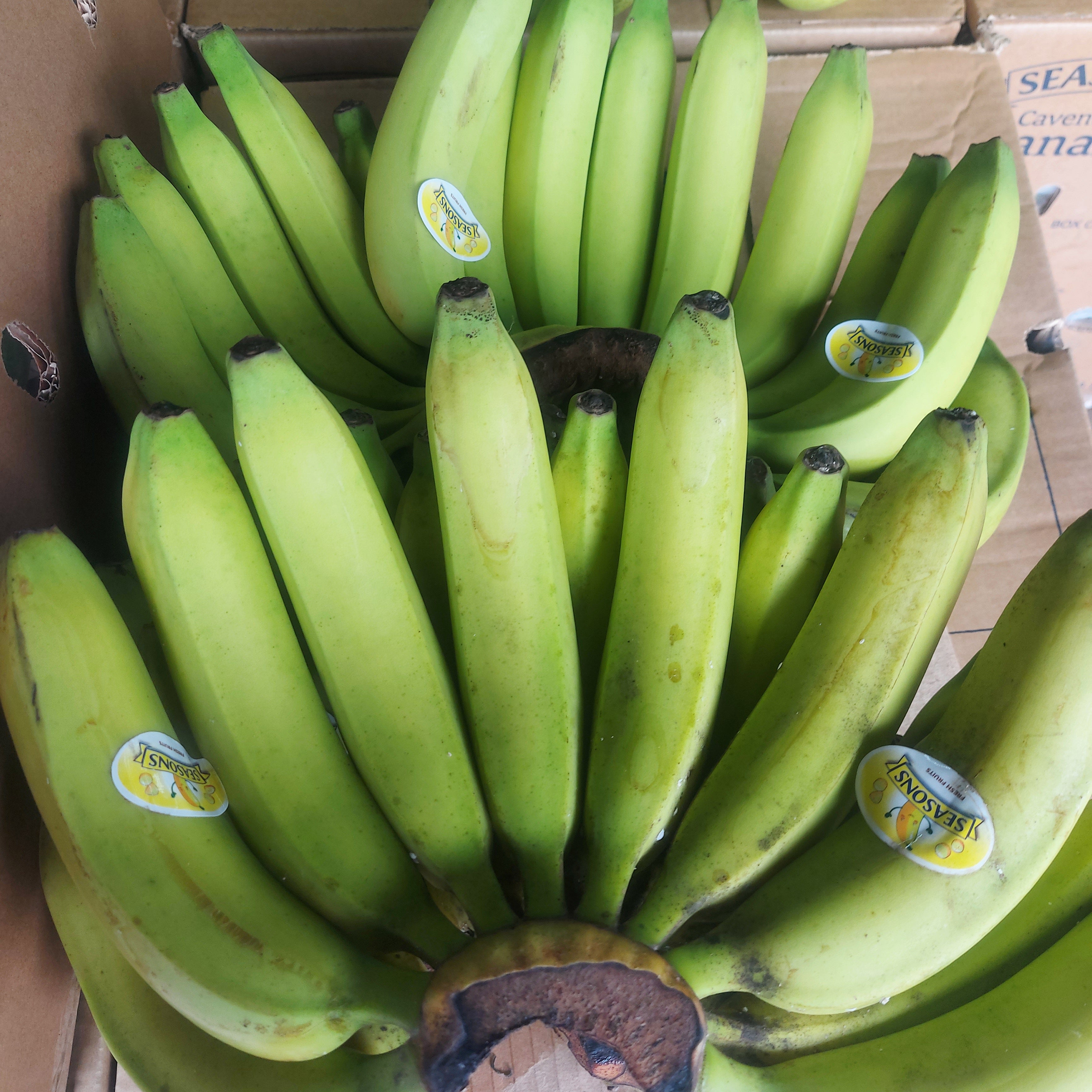 Fresh Local [Lakatan Lacatan] Banana order price / kilo Farm2Metro