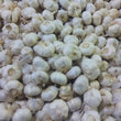 Locally-grown Garlic [Bawang] - order price / 500 grams