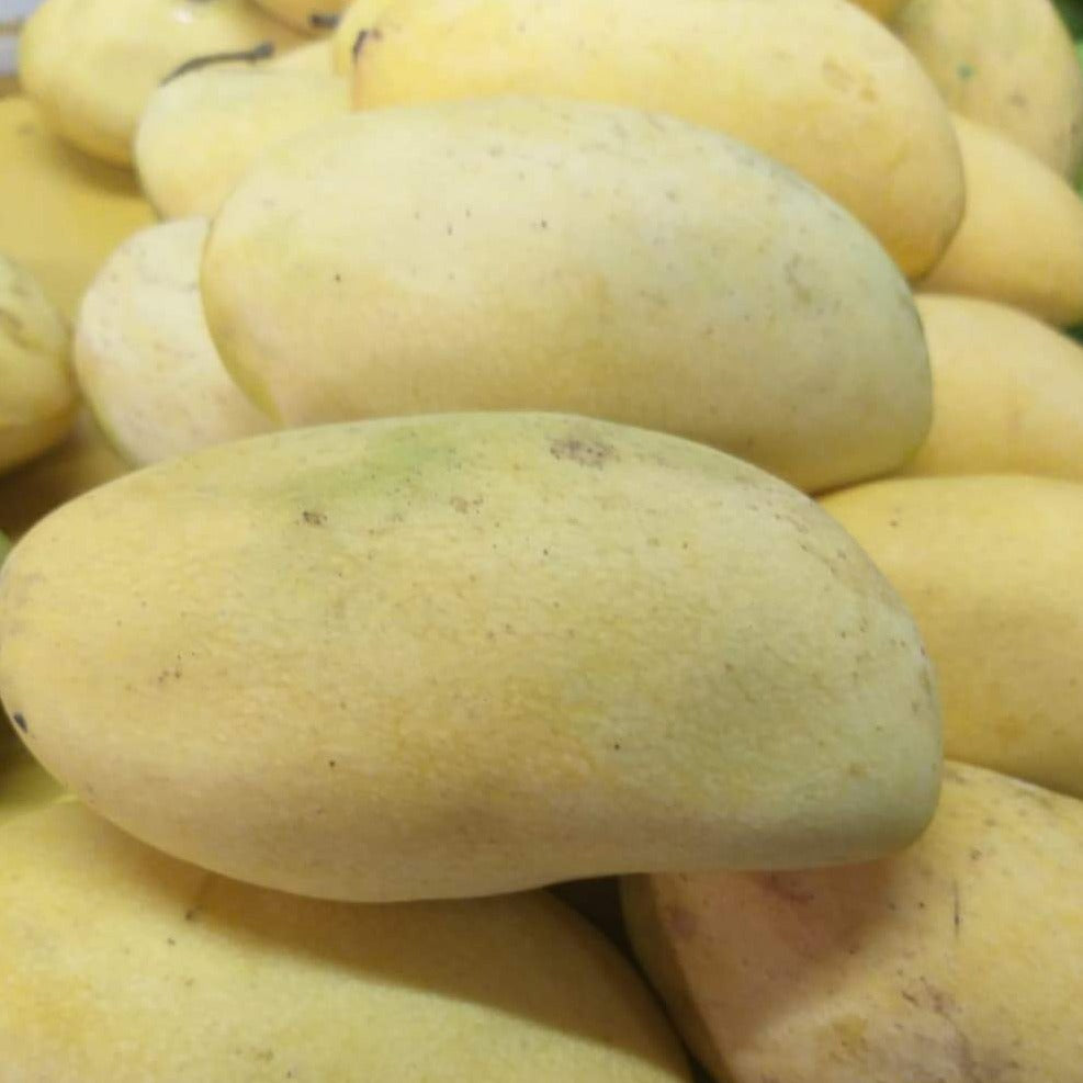 Fresh Davao Ripe Mangoes Kinalabaw - (order price / box) - Farm2Metro