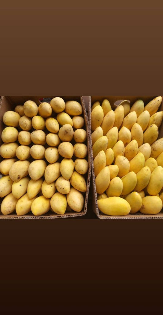 Fresh Davao Ripe Mangoes Kinalabaw (order price/500 grams) - Farm2Metro