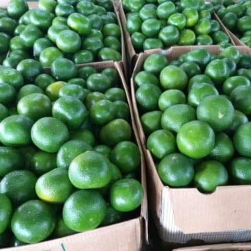 Sweet Local Citrus Fruit - order price / kilo - Farm2Metro
