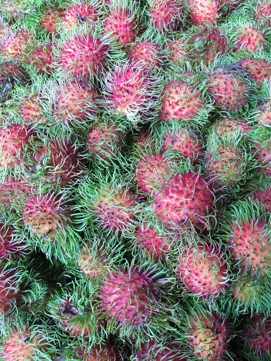 Fresh Rambutan (Tuklapin RR)- order price / kilo - Farm2Metro