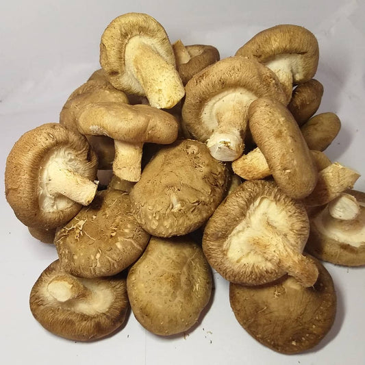 Fresh Shitake Mushrooms - order price / 250 grams - Farm2Metro