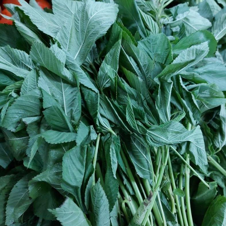 Fresh Local Nalta Jute (Saluyot) - order price / 2 bundles
