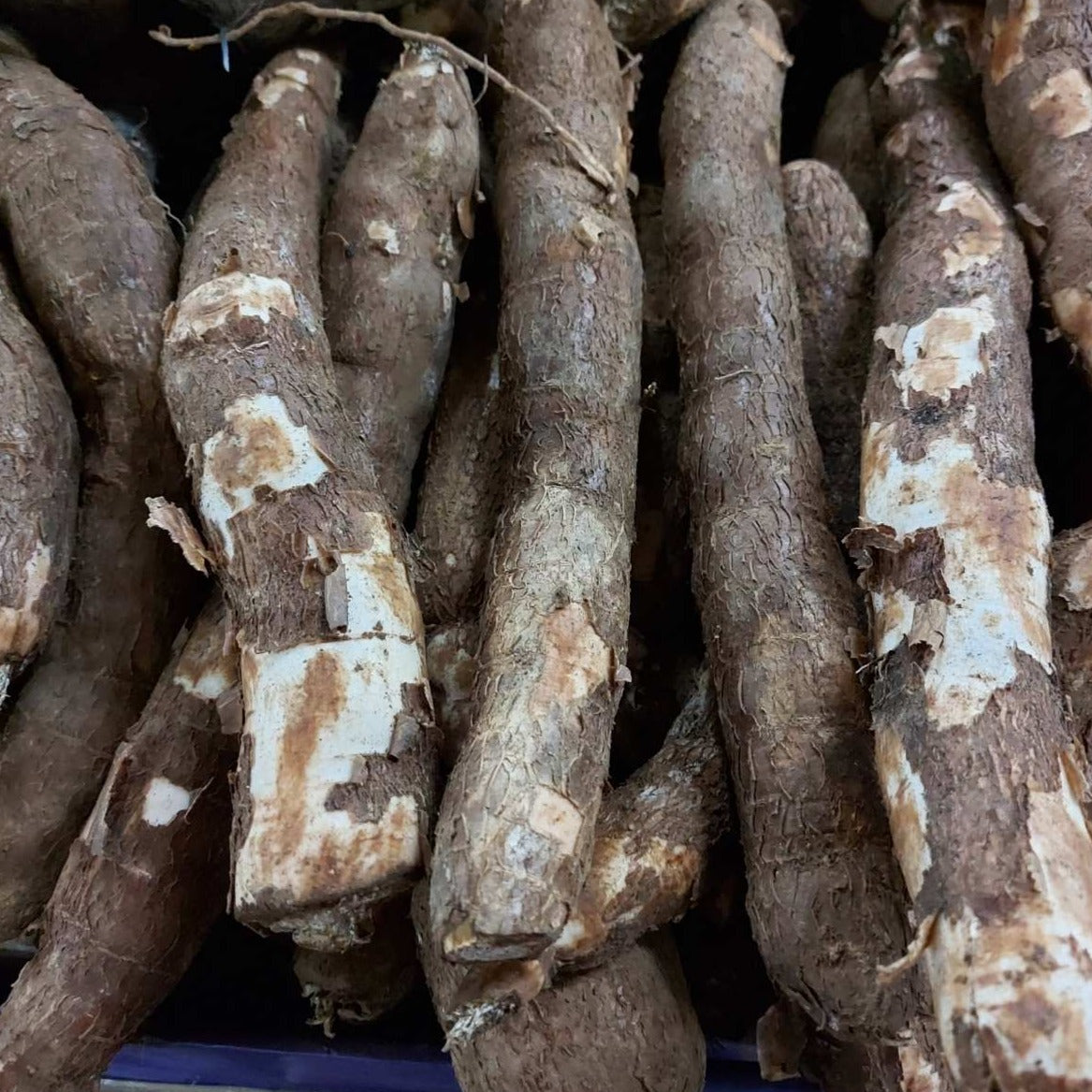 Fresh Cassava (camote / kamoteng kahoy) - order price / 500 grams