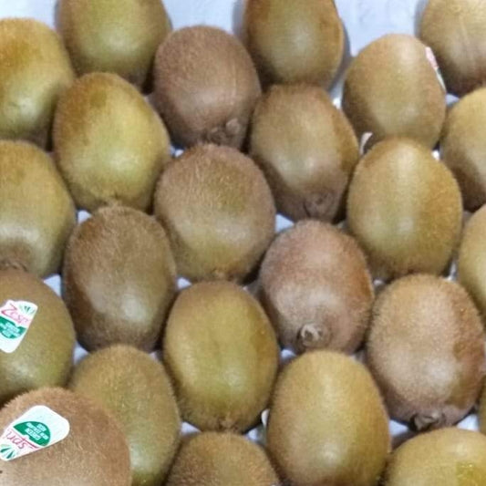 Fresh Kiwi Fruit Green Premium variety- order price / piece