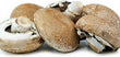 Fresh Portabello Mushroom - order price / kilo