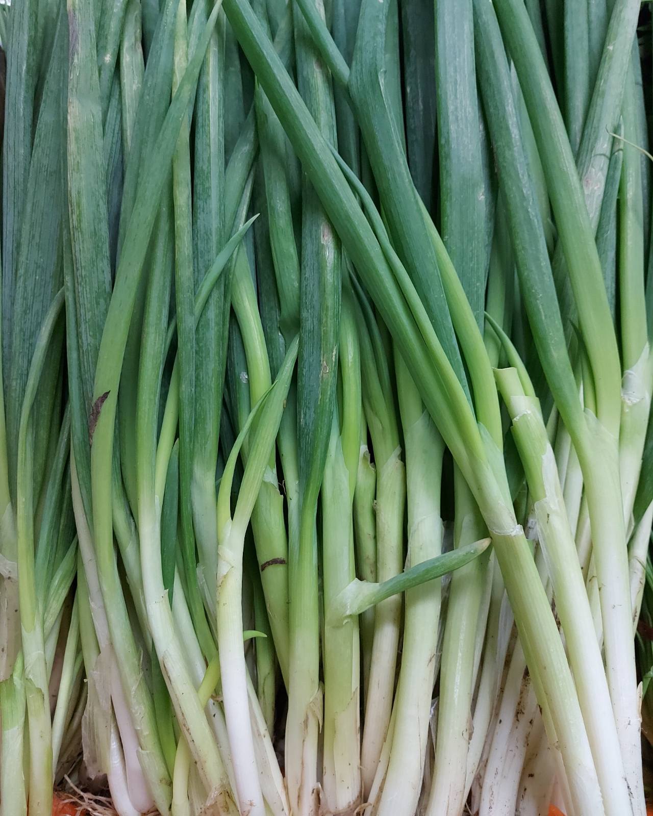 Fresh Local Onion Leeks | Scallions - order price / 250 grams