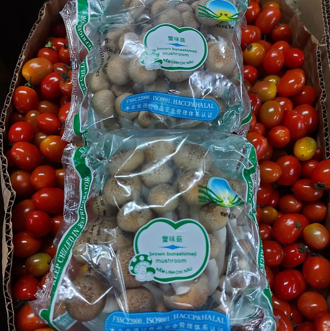 フレッシュブラウンシメジ - 注文価格 / 180 - 200 グラムパック