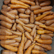 Fresh Local Organic Carrots - order price / kilo
