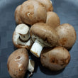 Fresh Brown Button Mushroom - order price / 200 grams