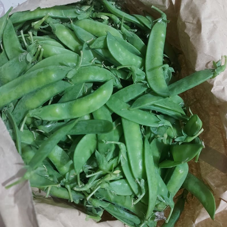 Fresh Sweet | Snow Peas (Chicharo) - order price / kilo