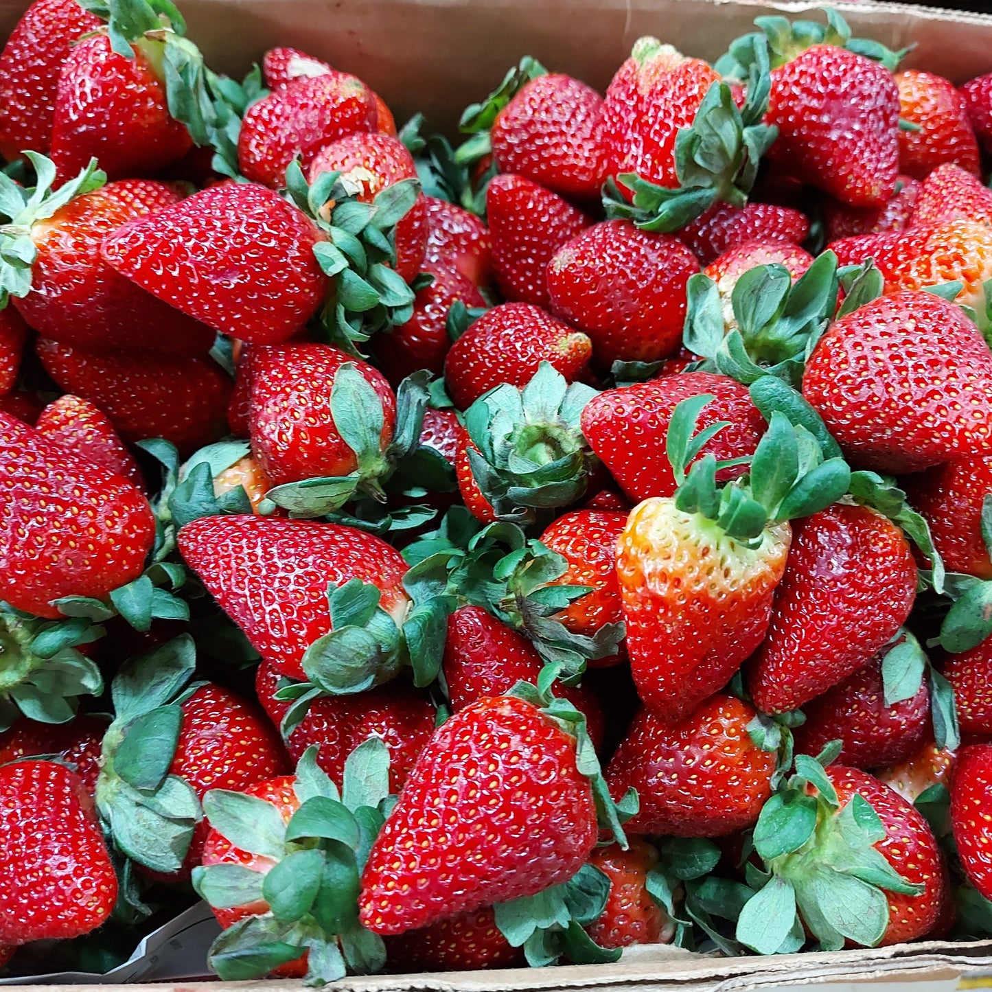 Fresh Local Strawberry - order price / 250 grams
