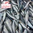 Fresh Blue Mackerel Scad [Galunggong|Galungong|gg] med size - order price / kilo