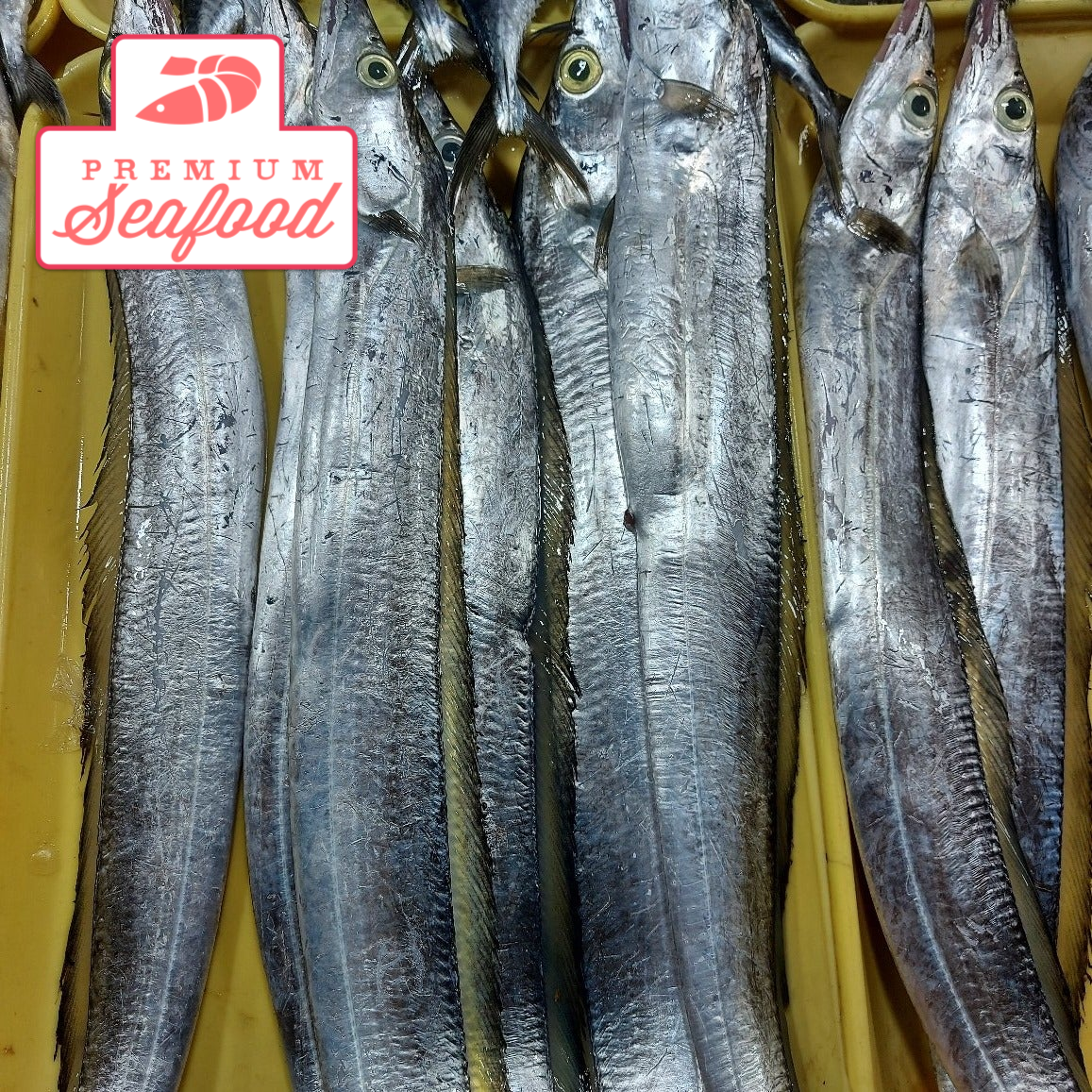 産地直送鮮魚【エスパーダ】 - 注文価格 / キロ