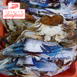 Fresh Blue Crab [Alimasag] - order price / kilo
