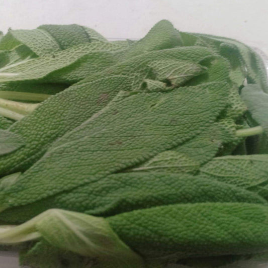 Fresh Organic Sage - order price / 50 grams