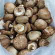 Fresh Shitake Mushrooms - order price / 400 grams