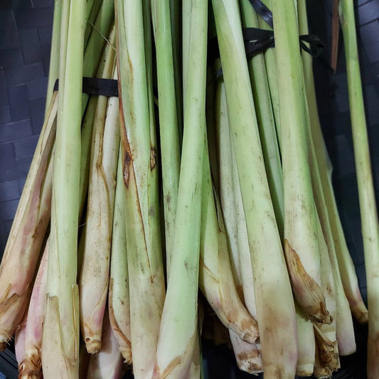 Fresh Lemon Grass/Lemongrass (Tanglad) - order price / 500 grams