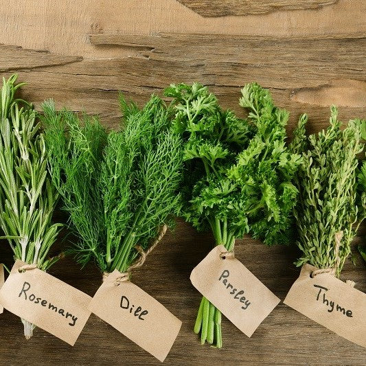 Fresh Herbs and Spices