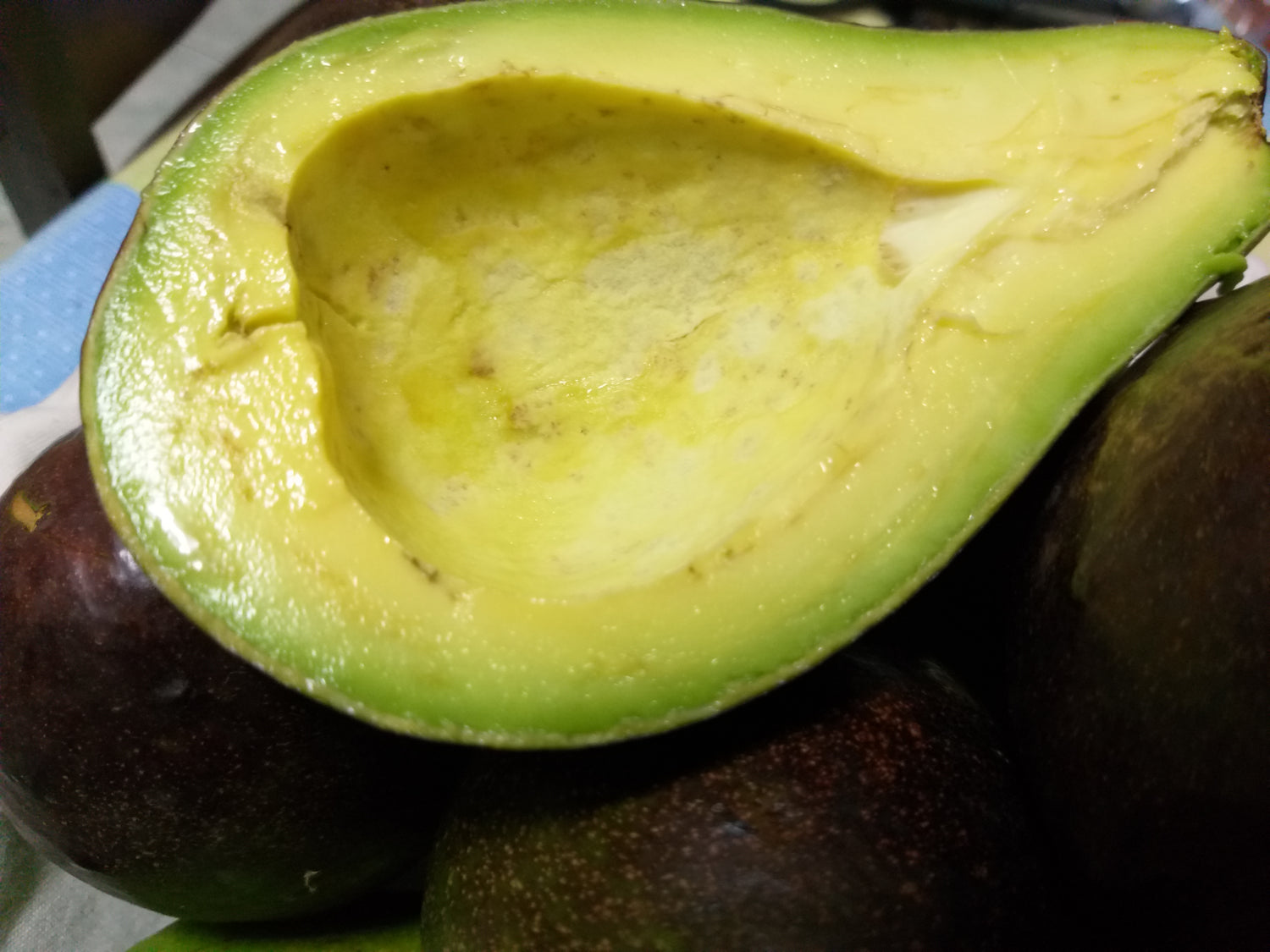 Fresh Davao Avocado