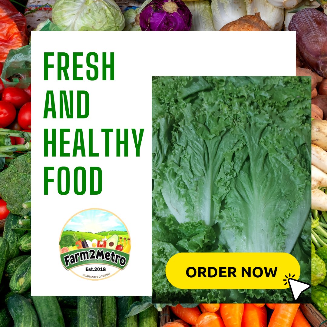 Fresh Local, Organic, & Imported Vegetables