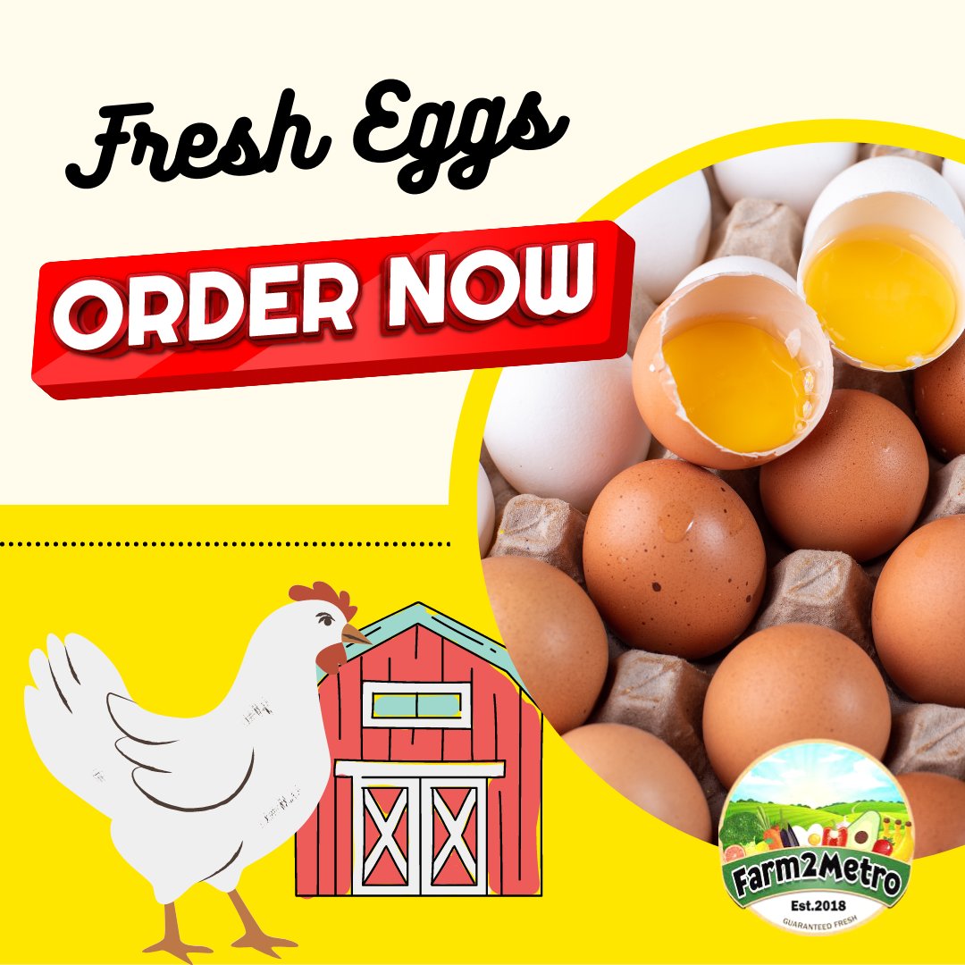 Fresh Eggs
