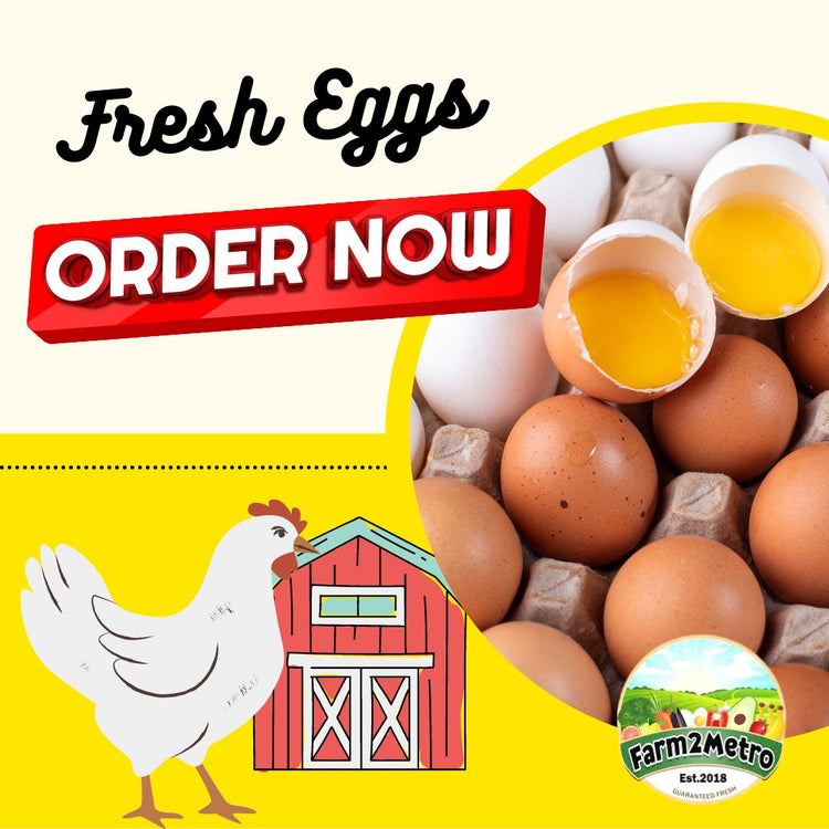 Fresh Eggs