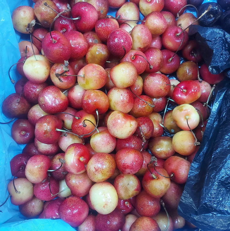 Imported Fresh Fruits