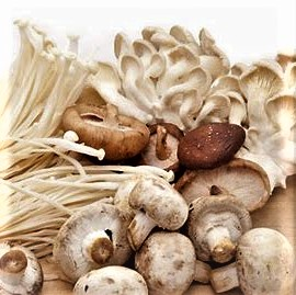 Fresh Local & Imported Mushrooms