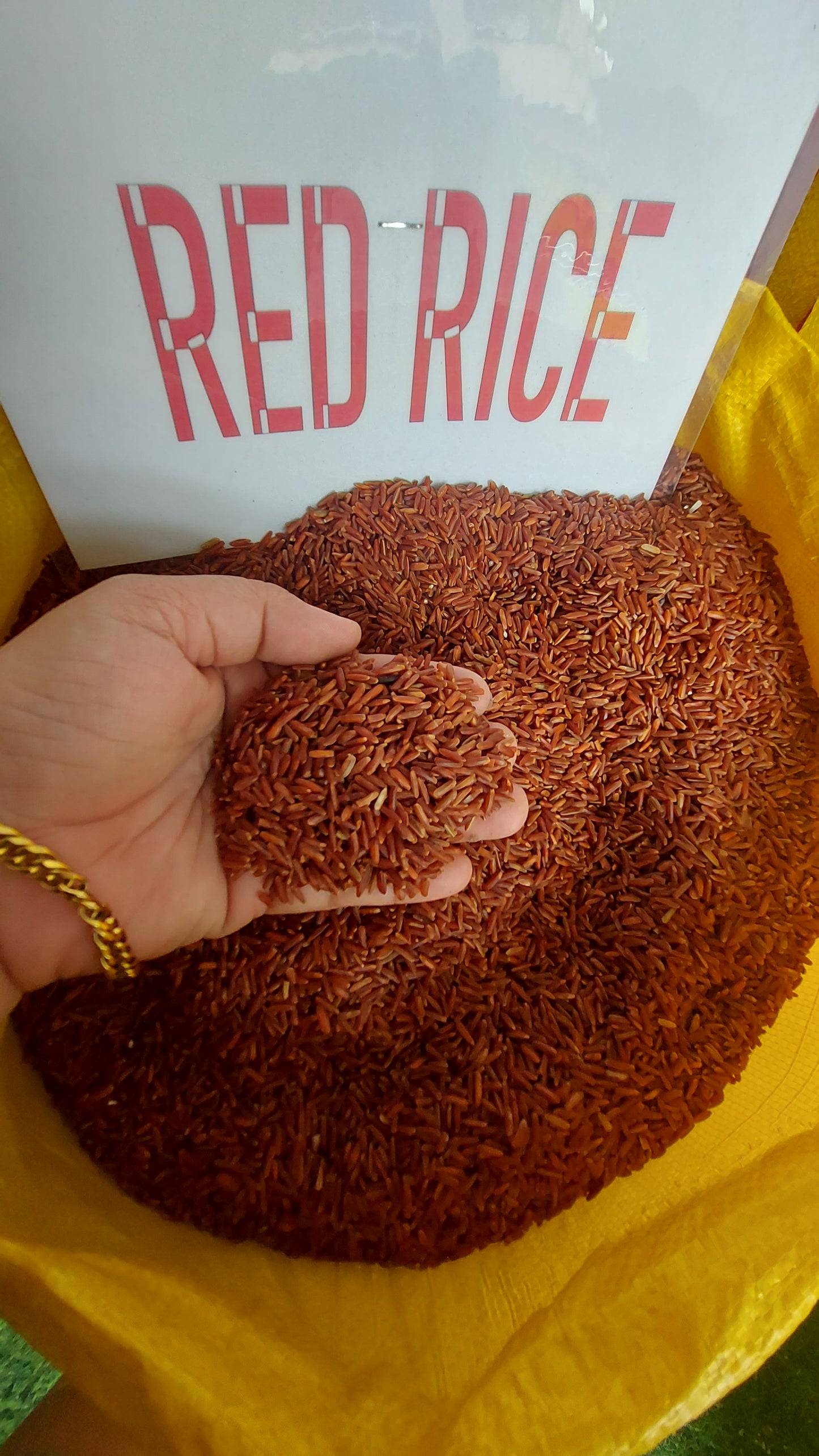 Organic Red Rice from the North - order price / kilo