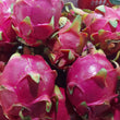 Dragon Fruit [Pitaya] WHITE Flesh- order price / kilo