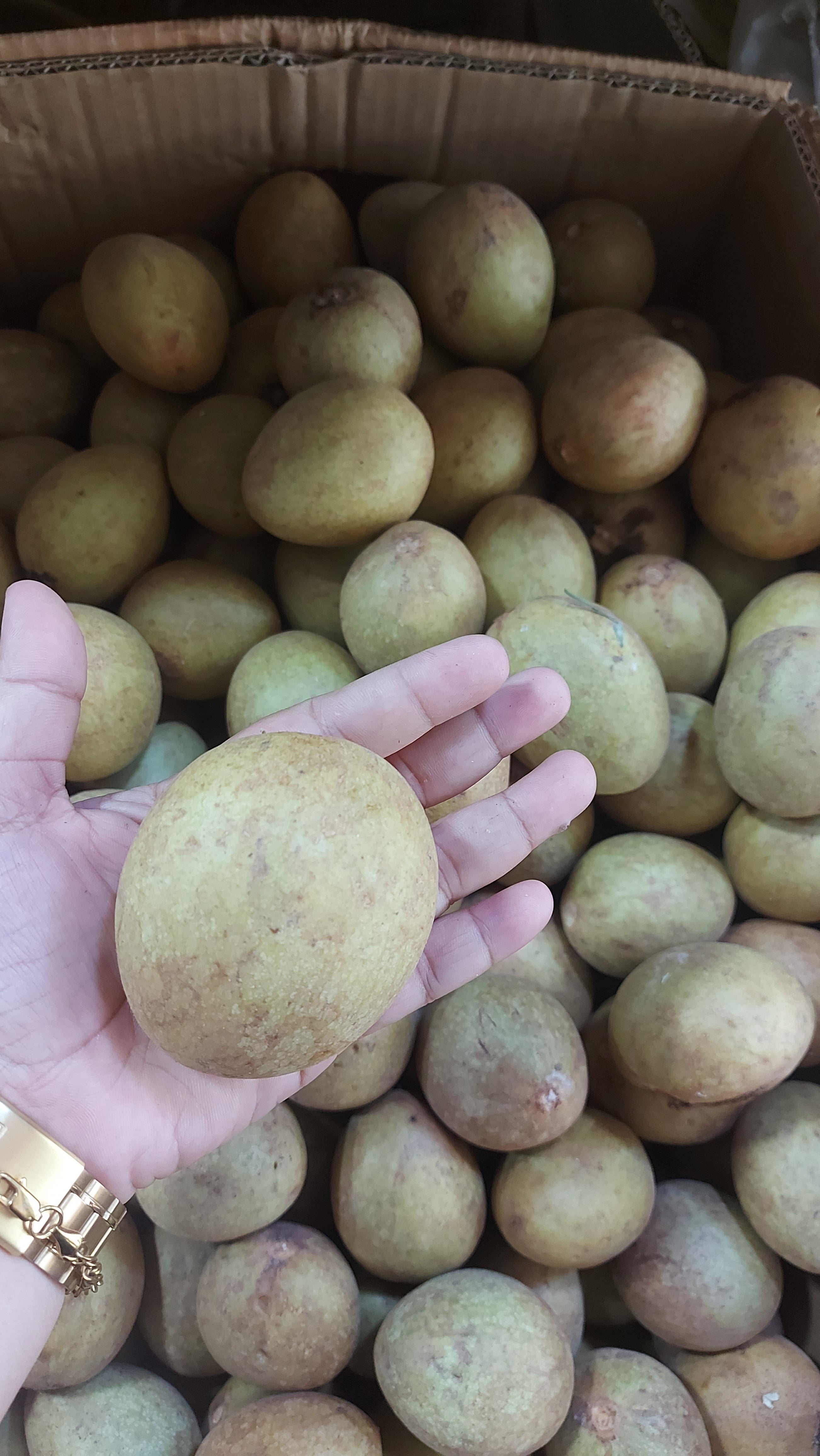 ローカル チコ ピネラス - 注文価格 / キロ