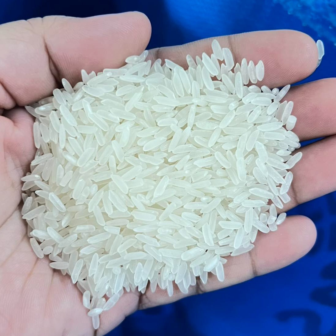 Pure Jasmin Sinandomeng Local Grain Rice - order price / sack 25 kilos