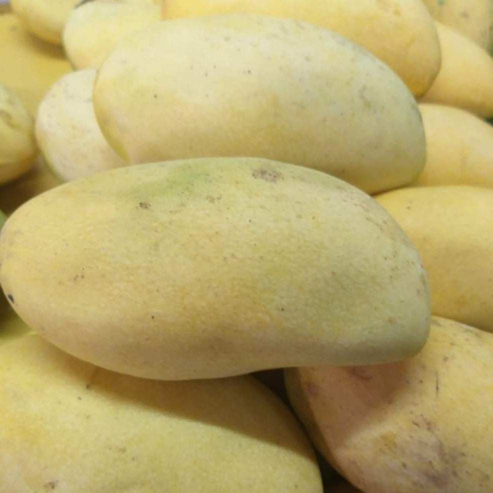 Fresh Davao Ripe Mangoes Kinalabaw (order price / kilo) - Farm2Metro
